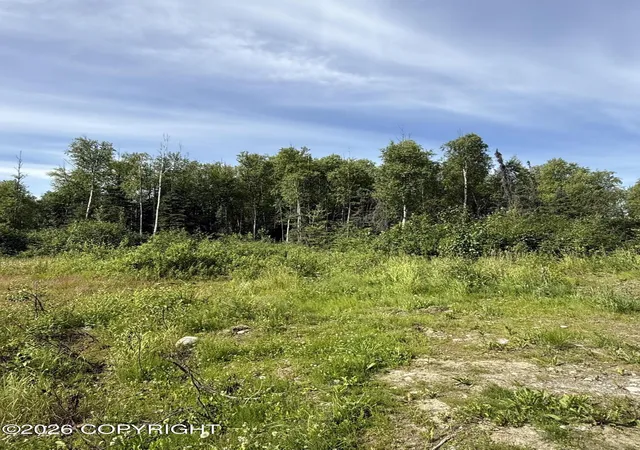 Photo 4 of Land for sale at 14135 W White Rabbit Cir, Houston, AK 99694 | MLS# 26-8925 | Listing updated on 2026-08-04