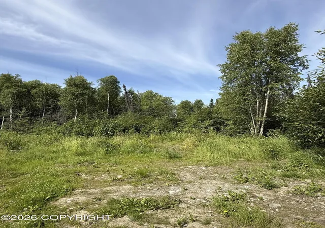 Photo 5 of Land for sale at 14135 W White Rabbit Cir, Houston, AK 99694 | MLS# 26-8925 | Listing updated on 2026-08-04