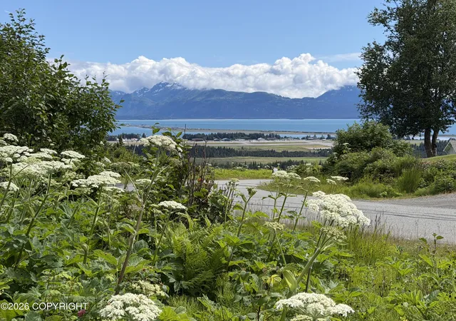 Photo 1 of Land for sale at 4730 Craftsman Rd, Homer, AK 99603 | MLS# 26-8935 | Listing updated on 2026-07-20