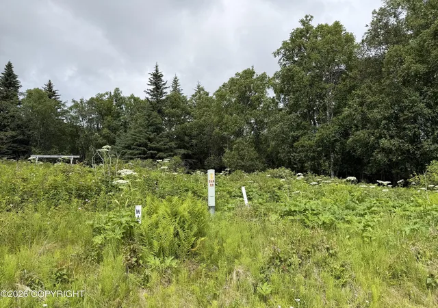 Photo 27 of Land for sale at 4730 Craftsman Rd, Homer, AK 99603 | MLS# 26-8935 | Listing updated on 2026-07-20