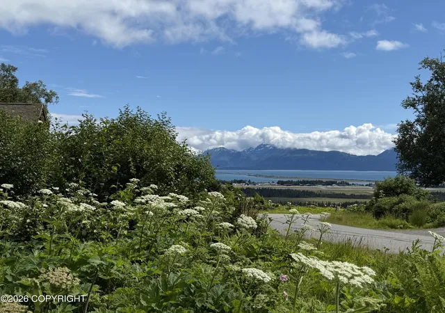 Photo 3 of Land for sale at 4730 Craftsman Rd, Homer, AK 99603 | MLS# 26-8935 | Listing updated on 2026-07-20