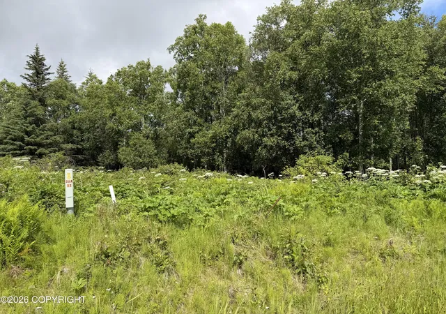 Photo 3 of Land for sale at 4730 Craftsman Rd, Homer, AK 99603 | MLS# 26-8935 | Listing updated on 2026-07-20