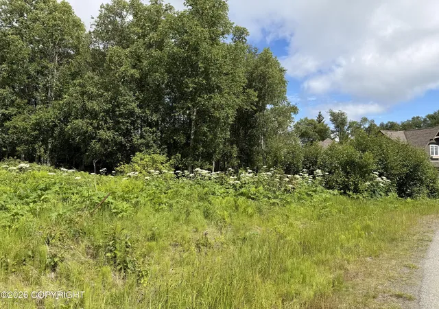 Photo 4 of Land for sale at 4730 Craftsman Rd, Homer, AK 99603 | MLS# 26-8935 | Listing updated on 2026-07-20