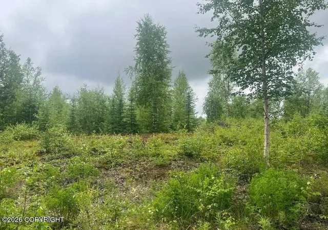 Photo 1 of Land for sale at 4764 S Horseshoe Lake Rd, Big Lake, AK 99652 | MLS# 26-8982 | Listing updated on 2026-07-20