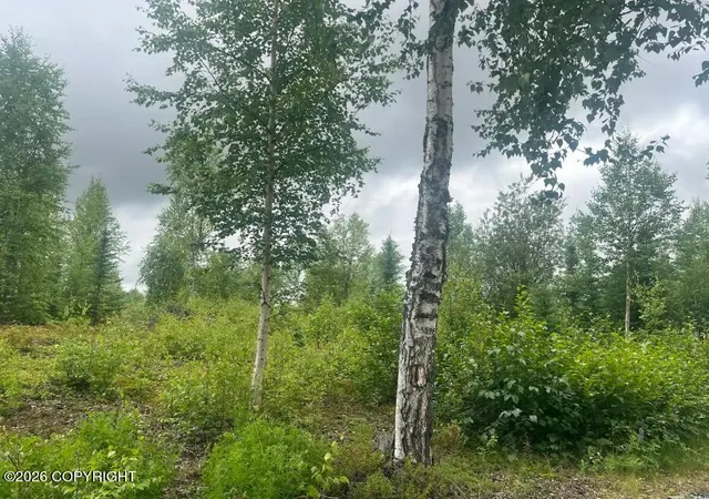 Photo 2 of Land for sale at 4764 S Horseshoe Lake Rd, Big Lake, AK 99652 | MLS# 26-8982 | Listing updated on 2026-07-20