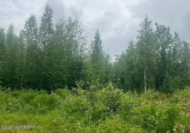 Photo 3 of Land for sale at 4764 S Horseshoe Lake Rd, Big Lake, AK 99652 | MLS# 26-8982 | Listing updated on 2026-07-20