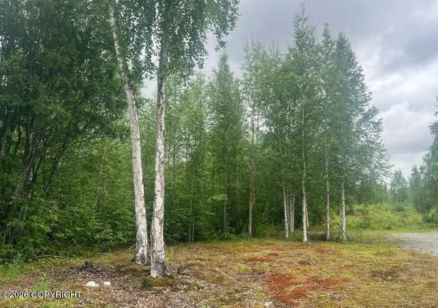 Photo 3 of Land for sale at 4764 S Horseshoe Lake Rd, Big Lake, AK 99652 | MLS# 26-8982 | Listing updated on 2026-07-20