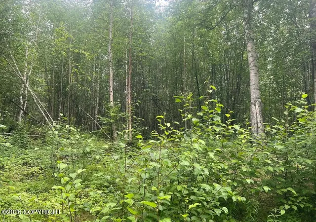 Photo 1 of Land for sale at 4768 S Horseshoe Lake Rd, Big Lake, AK 99652 | MLS# 26-8983 | Listing updated on 2026-07-20