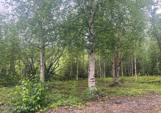 Photo 2 of Land for sale at 4768 S Horseshoe Lake Rd, Big Lake, AK 99652 | MLS# 26-8983 | Listing updated on 2026-07-20