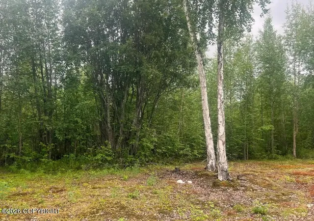 Photo 3 of Land for sale at 4768 S Horseshoe Lake Rd, Big Lake, AK 99652 | MLS# 26-8983 | Listing updated on 2026-07-20