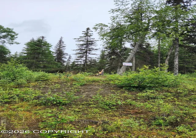 Photo 1 of Land for sale at L4 Ten Mar Ave, Soldotna, AK 99672 | MLS# 26-9015 | Listing updated on 2026-07-28