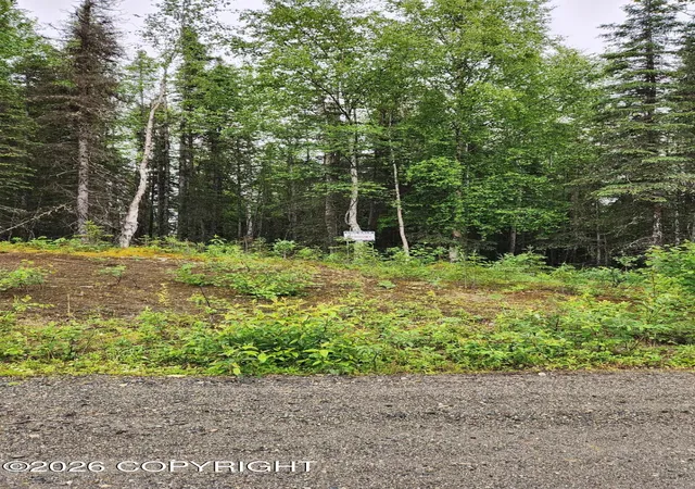 Photo 1 of Land for sale at L5 Ten Mar Ave, Soldotna, AK 99672 | MLS# 26-9018 | Listing updated on 2026-07-28