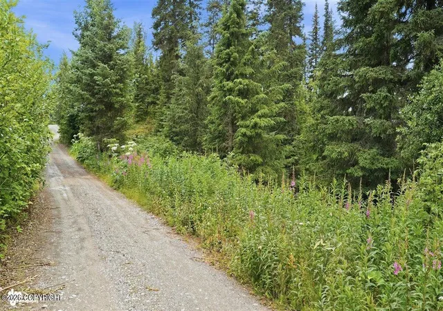 Photo 3 of Land for sale at 72430 Norwegian Woods Rd, Anchor Point, AK 99556 | MLS# 26-9253 | Listing updated on 2026-07-30