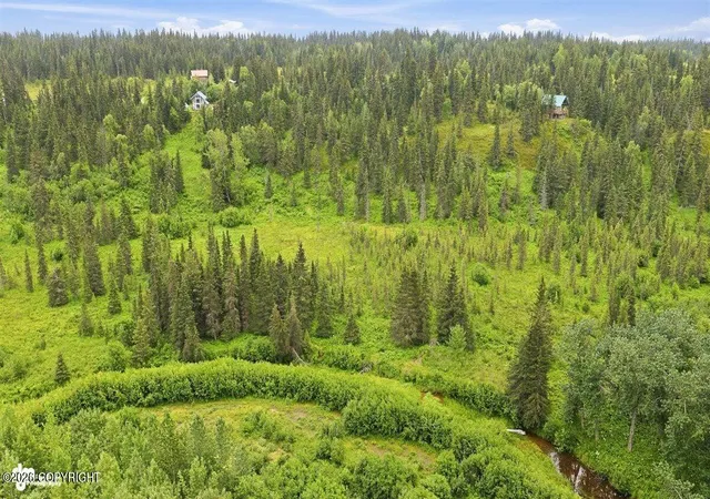 Photo 5 of Land for sale at 72430 Norwegian Woods Rd, Anchor Point, AK 99556 | MLS# 26-9253 | Listing updated on 2026-07-30