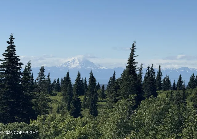 Photo 4 of Single family home for sale at 16733 Oskolkoff St, Ninilchik, AK 99639 | MLS# 26-9127 | Listing updated on 2026-08-15