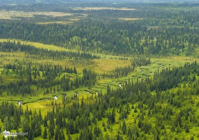 Photo 3 of Land for sale at 67381 Stoddard Ave, Anchor Point, AK 99556 | MLS# 26-9377 | Listing updated on 2026-07-28