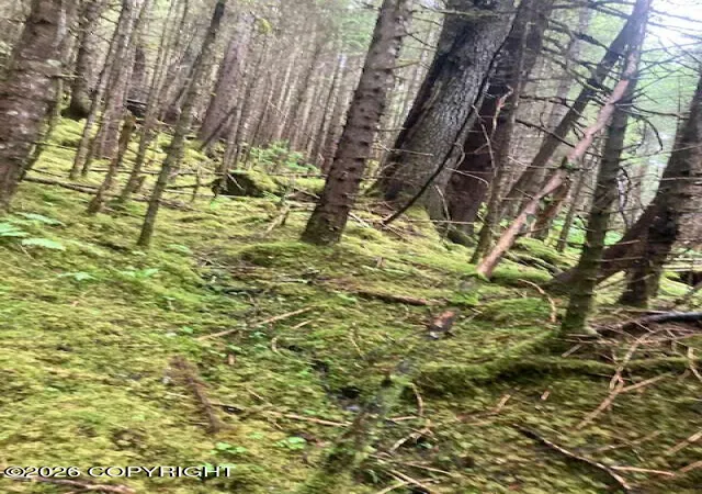 Photo 17 of Land for sale at 0 Little Johnstone Bay, Seward, AK 99664 | MLS# 26-9080 | Listing updated on 2026-07-22
