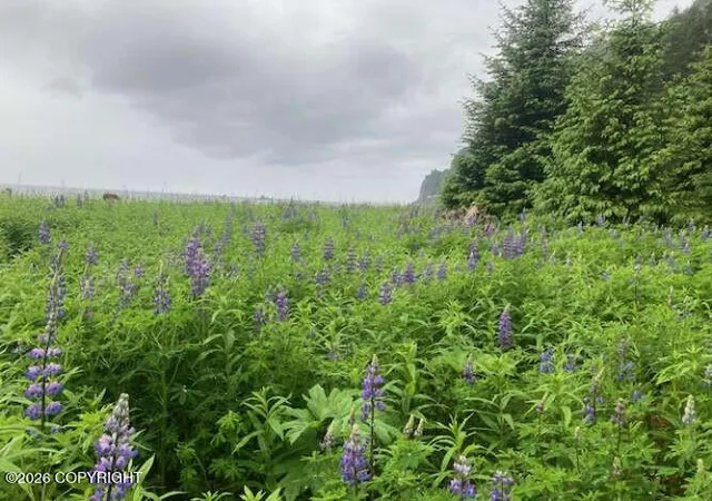 Photo 2 of Land for sale at 0 Little Johnstone Bay, Seward, AK 99664 | MLS# 26-9080 | Listing updated on 2026-07-22