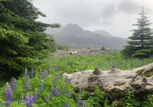 Photo 3 of Land for sale at 0 Little Johnstone Bay, Seward, AK 99664 | MLS# 26-9080 | Listing updated on 2026-07-22