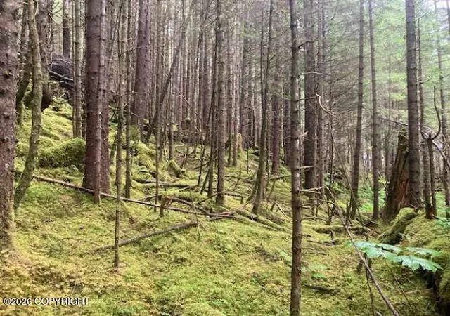 Photo 4 of Land for sale at 0 Little Johnstone Bay, Seward, AK 99664 | MLS# 26-9080 | Listing updated on 2026-07-22