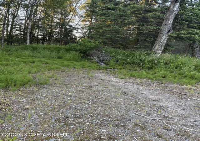Photo 3 of Land for sale at 2716 Alpine Ave, Kenai, AK 99611 | MLS# 26-9292 | Listing updated on 2026-07-28