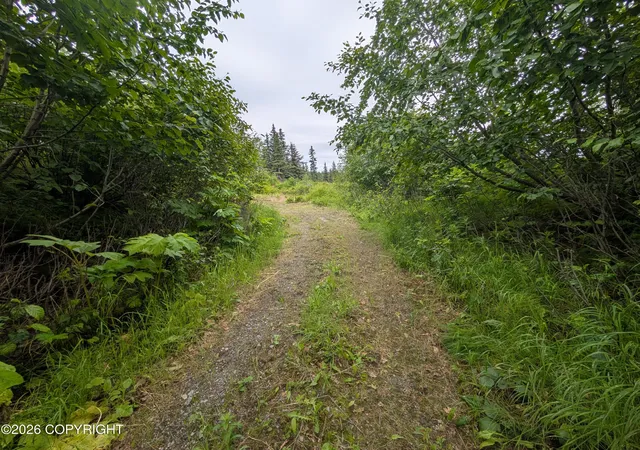 Photo 1 of Land for sale at 67118 Deep Crk Rd, Ninilchik, AK 99639 | MLS# 26-9122 | Listing updated on 2026-07-23