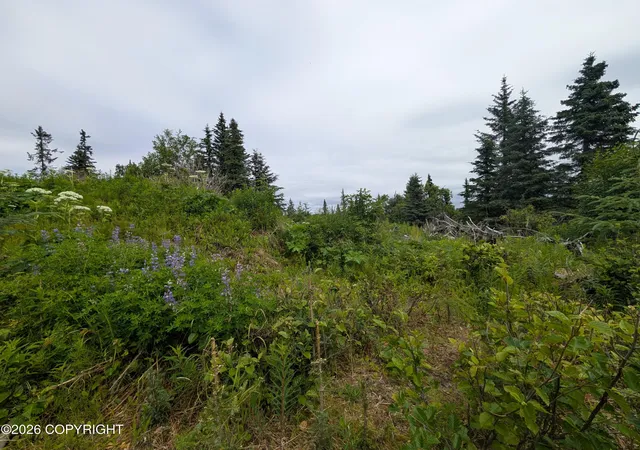 Photo 2 of Land for sale at 67118 Deep Crk Rd, Ninilchik, AK 99639 | MLS# 26-9122 | Listing updated on 2026-07-23