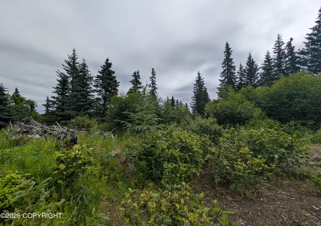 Photo 3 of Land for sale at 67118 Deep Crk Rd, Ninilchik, AK 99639 | MLS# 26-9122 | Listing updated on 2026-07-23