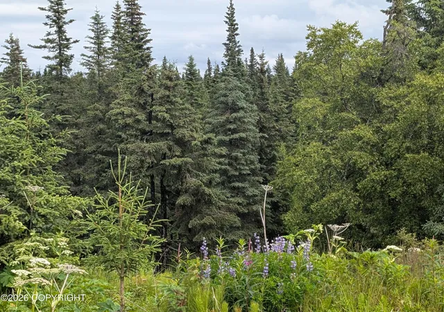 Photo 4 of Land for sale at 67118 Deep Crk Rd, Ninilchik, AK 99639 | MLS# 26-9122 | Listing updated on 2026-07-23