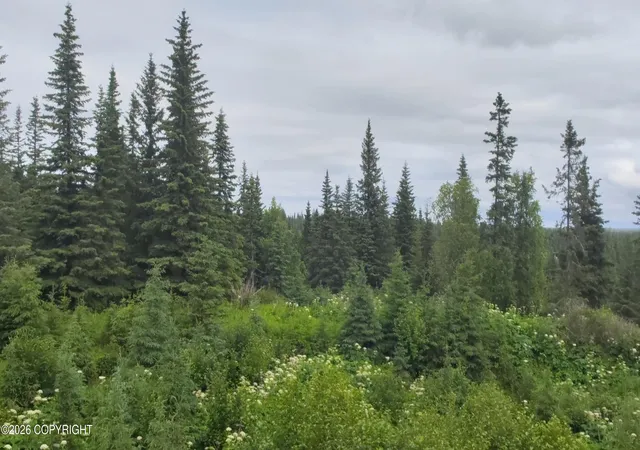 Photo 2 of Land for sale at 67164 Deep Crk Rd, Ninilchik, AK 99639 | MLS# 26-9131 | Listing updated on 2026-07-23