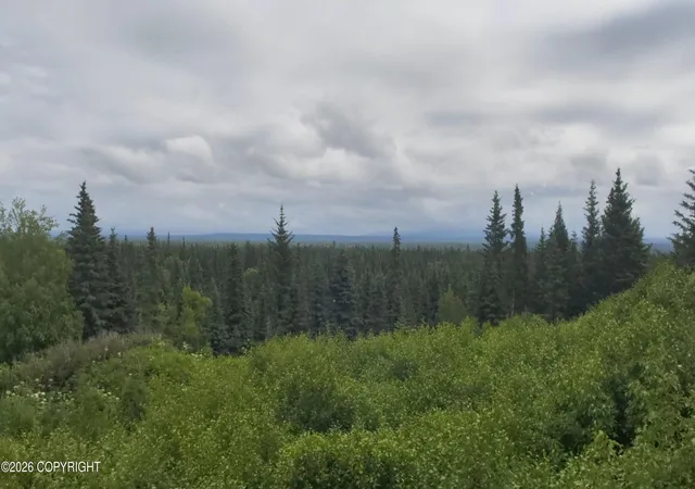 Photo 3 of Land for sale at 67164 Deep Crk Rd, Ninilchik, AK 99639 | MLS# 26-9131 | Listing updated on 2026-07-23