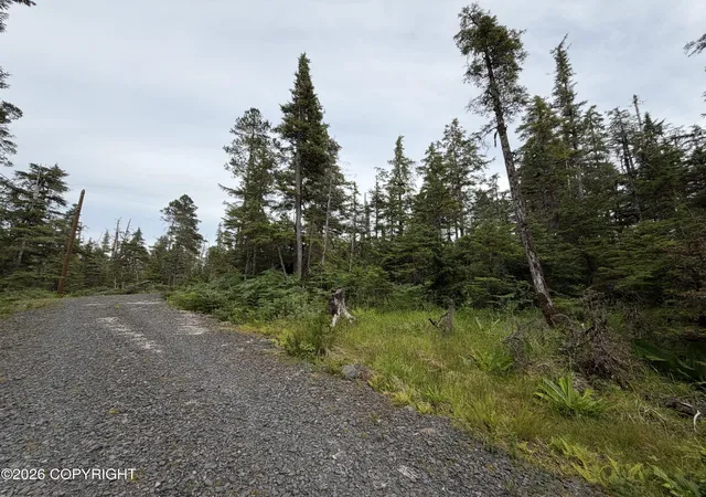 Photo 2 of Land for sale at 11 Aardal Ln, Petersburg, AK 99833 | MLS# 26-9183 | Listing updated on 2026-07-24