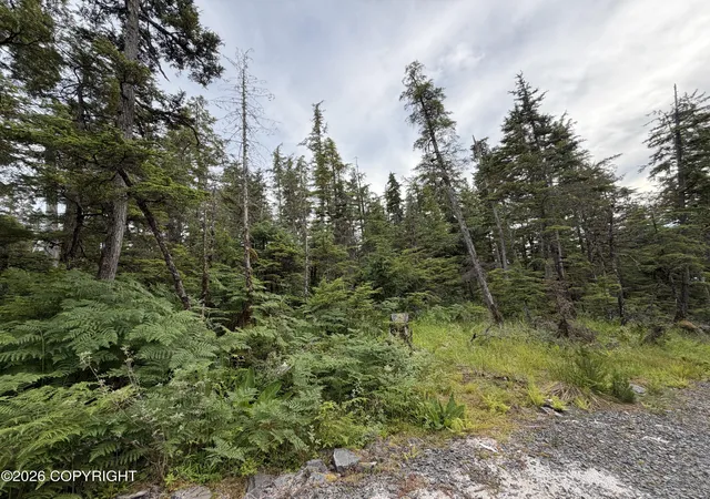 Photo 2 of Land for sale at 11 Aardal Ln, Petersburg, AK 99833 | MLS# 26-9183 | Listing updated on 2026-07-24