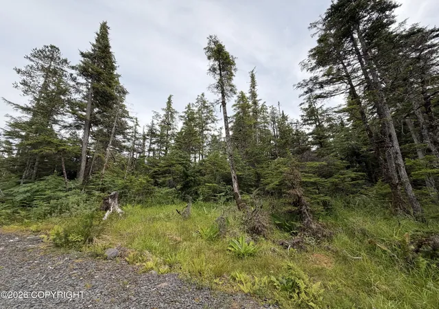Photo 3 of Land for sale at 11 Aardal Ln, Petersburg, AK 99833 | MLS# 26-9183 | Listing updated on 2026-07-24