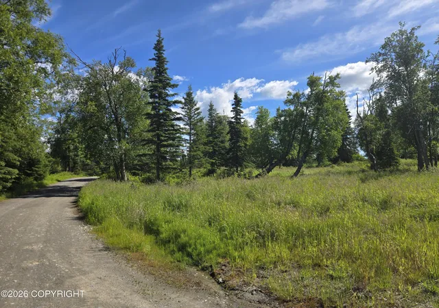 Photo 1 of Land for sale at 53347 Grindstone Ave, Kasilof, AK 99610 | MLS# 26-9301 | Listing updated on 2026-07-28