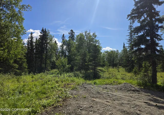 Photo 26 of Land for sale at 53347 Grindstone Ave, Kasilof, AK 99610 | MLS# 26-9301 | Listing updated on 2026-07-28