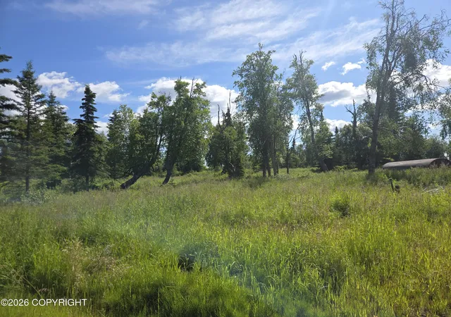 Photo 3 of Land for sale at 53347 Grindstone Ave, Kasilof, AK 99610 | MLS# 26-9301 | Listing updated on 2026-07-28