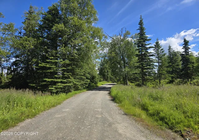 Photo 4 of Land for sale at 53347 Grindstone Ave, Kasilof, AK 99610 | MLS# 26-9301 | Listing updated on 2026-07-28