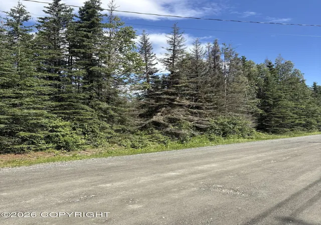 Photo 3 of Land for sale at Tr W A 2 Riverview Ave, Soldotna, AK 99669 | MLS# 26-9279 | Listing updated on 2026-09-01