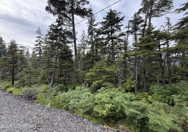 Photo 2 of Land for sale at 10 Aardal Ln, Petersburg, AK 99833 | MLS# 26-9185 | Listing updated on 2026-07-24