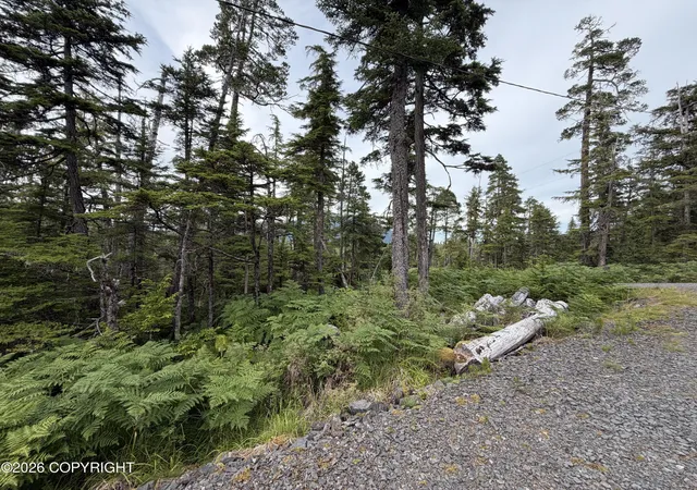 Photo 3 of Land for sale at 10 Aardal Ln, Petersburg, AK 99833 | MLS# 26-9185 | Listing updated on 2026-07-24