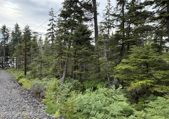 Photo 5 of Land for sale at 10 Aardal Ln, Petersburg, AK 99833 | MLS# 26-9185 | Listing updated on 2026-07-24