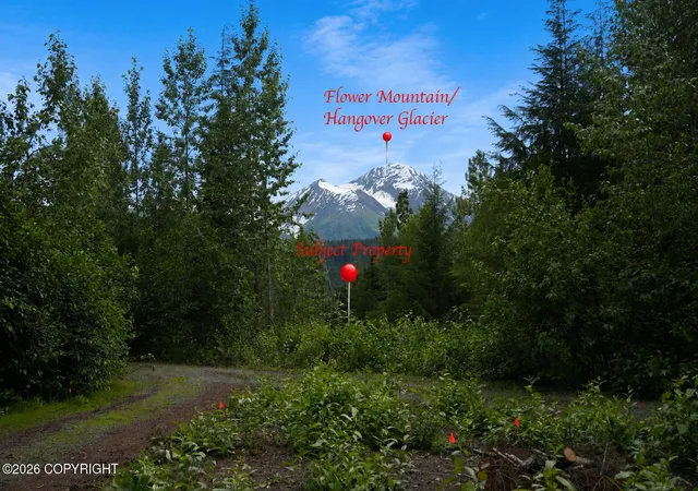 Photo 1 of Land for sale at Lot 20 Buckeye Ln, Haines, AK 99827 | MLS# 26-9198 | Listing updated on 2026-09-04