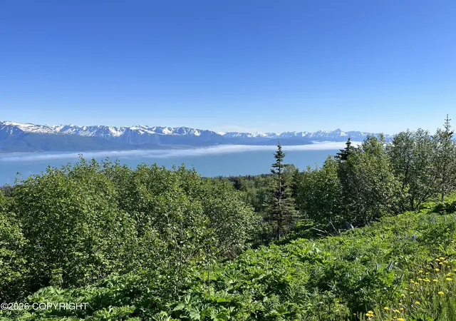 Photo 4 of Sale Pending at 52136 Old E End Rd, Homer, AK 99603 | MLS# 26-9272 | Listing updated on 2026-09-29