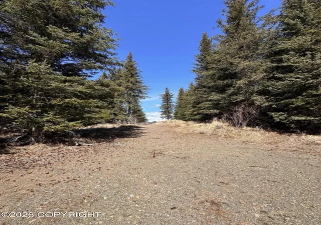 Photo 12 of Land for sale at 000 Twitter Crk Ln, Homer, AK 99603 | MLS# 26-9247 | Listing updated on 2026-07-24