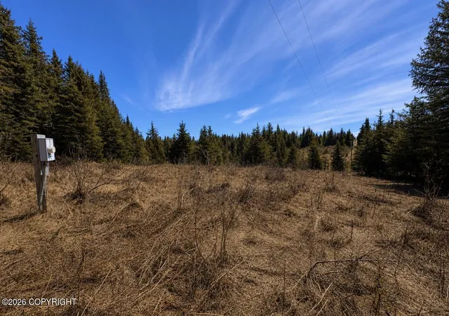 Photo 1 of Land for sale at 000 Twitter Crk Ln, Homer, AK 99603 | MLS# 26-9247 | Listing updated on 2026-07-24