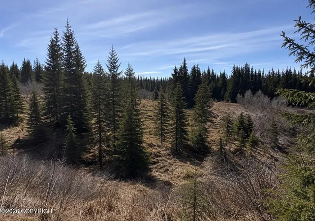 Photo 2 of Land for sale at 000 Twitter Crk Ln, Homer, AK 99603 | MLS# 26-9247 | Listing updated on 2026-07-24