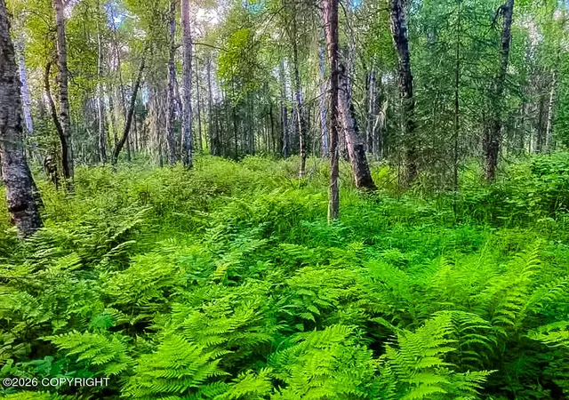 Land for sale at Asls Papa Bear Lake Area, Talkeetna, AK 99676 | MLS# 26-9413