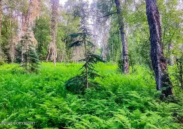 Photo 2 of Land for sale at Asls Papa Bear Lake Area, Talkeetna, AK 99676 | MLS# 26-9413 | Listing updated on 2026-07-28