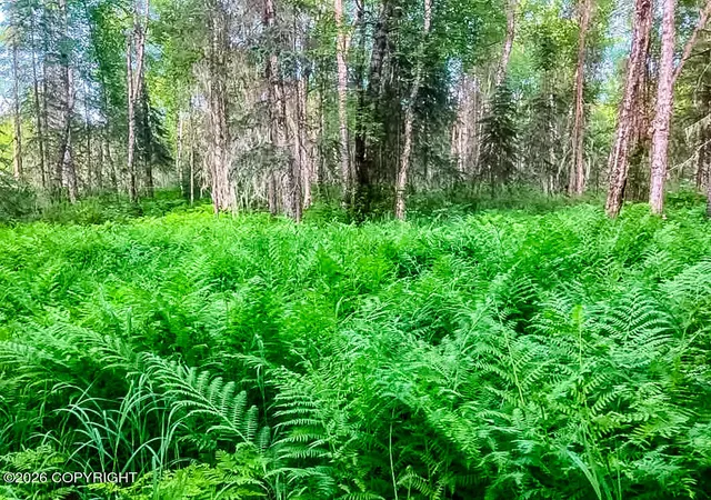 Photo 3 of Land for sale at Asls Papa Bear Lake Area, Talkeetna, AK 99676 | MLS# 26-9413 | Listing updated on 2026-07-28